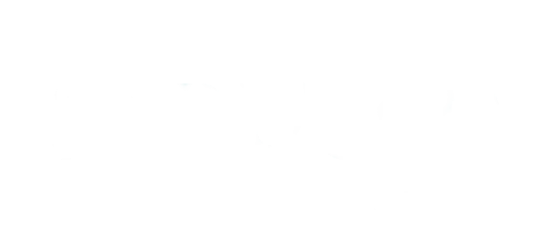 anudip